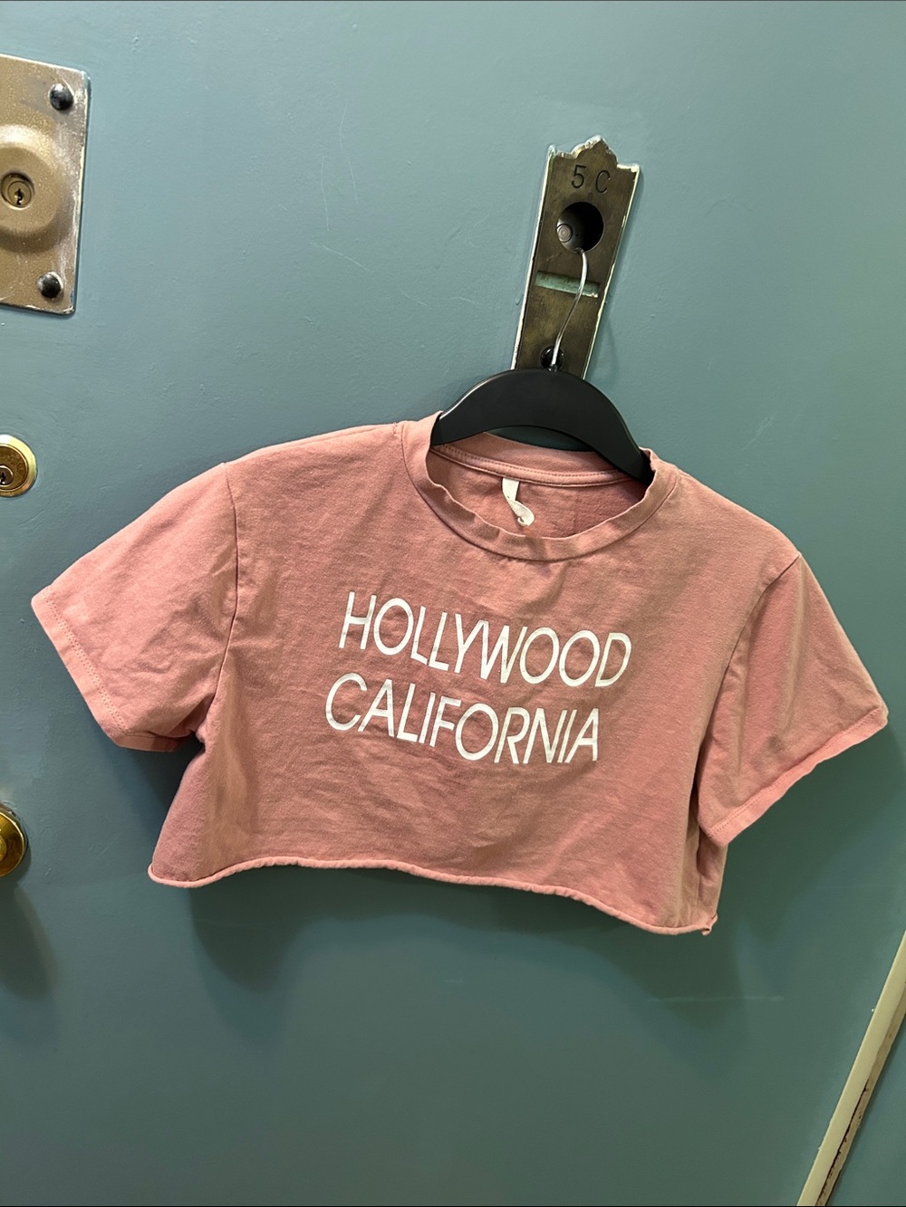 Hollywood California Crop Tee pink size small